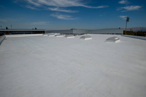 Best Cold Roofs  in Manhattan, IL