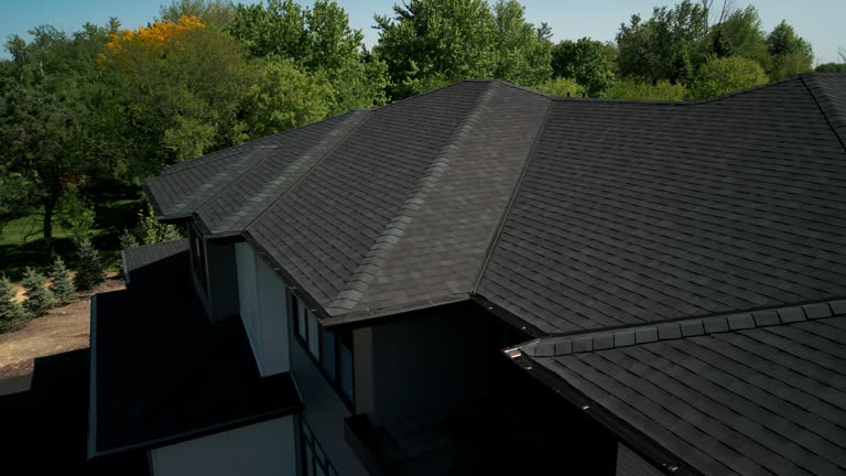 Best Roof Moss and Algae Removal  in Manhattan, IL