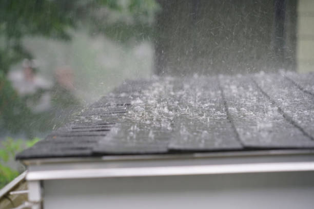 Best Flat Roofing  in Manhattan, IL
