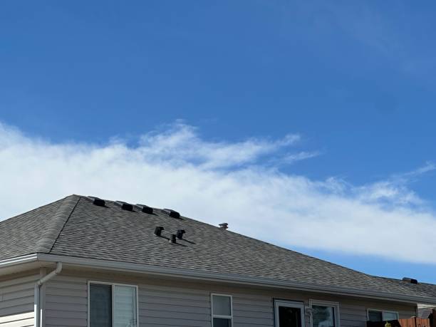 Best Asphalt Shingles Roofing  in Manhattan, IL